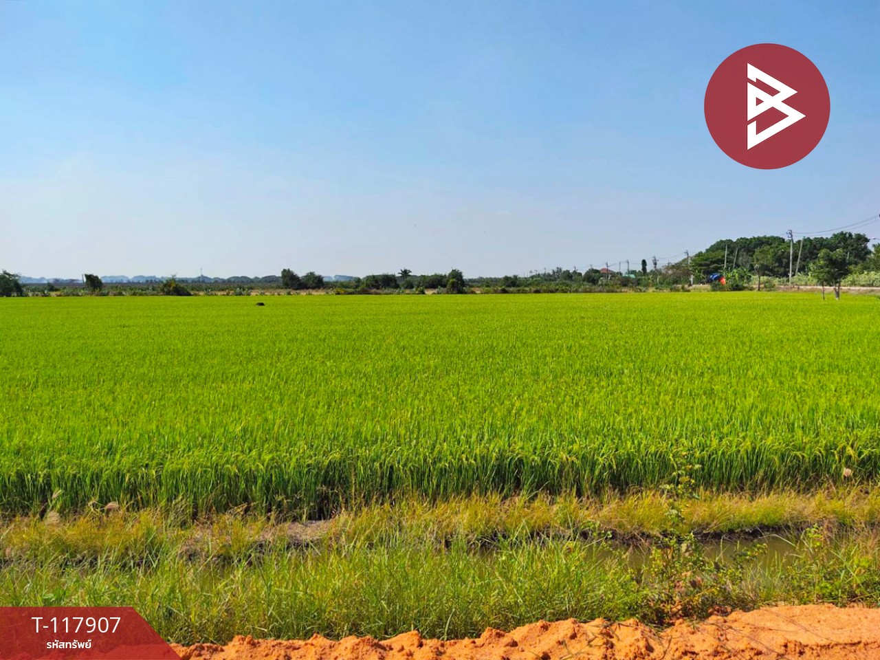 ขายที่ดิน เนื้อที่ 13 ไร่ 9 ตร.วา ไทรน้อย นนทบุรี