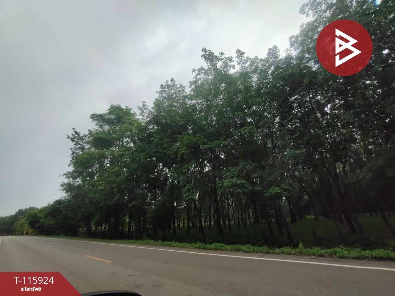 ขายที่ดิน เนื้อที่ 42 ไร่ 1 งาน 6 ตร.วา คำเตย นครพนม