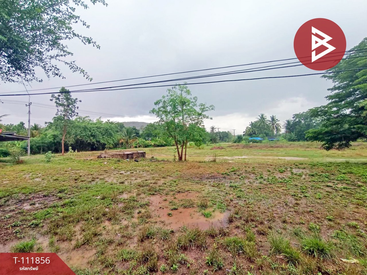 ขายที่ดิน เนื้อที่ 3 ไร่ ชะอำ เพชรบุรี