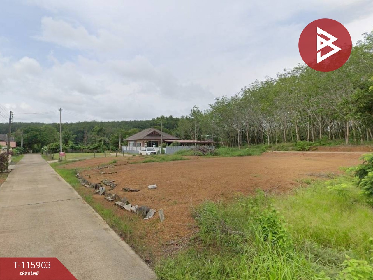 ขายที่ดิน เนื้อที่ 1 งาน 3 ตร.วา วังกระแจะ ตราด