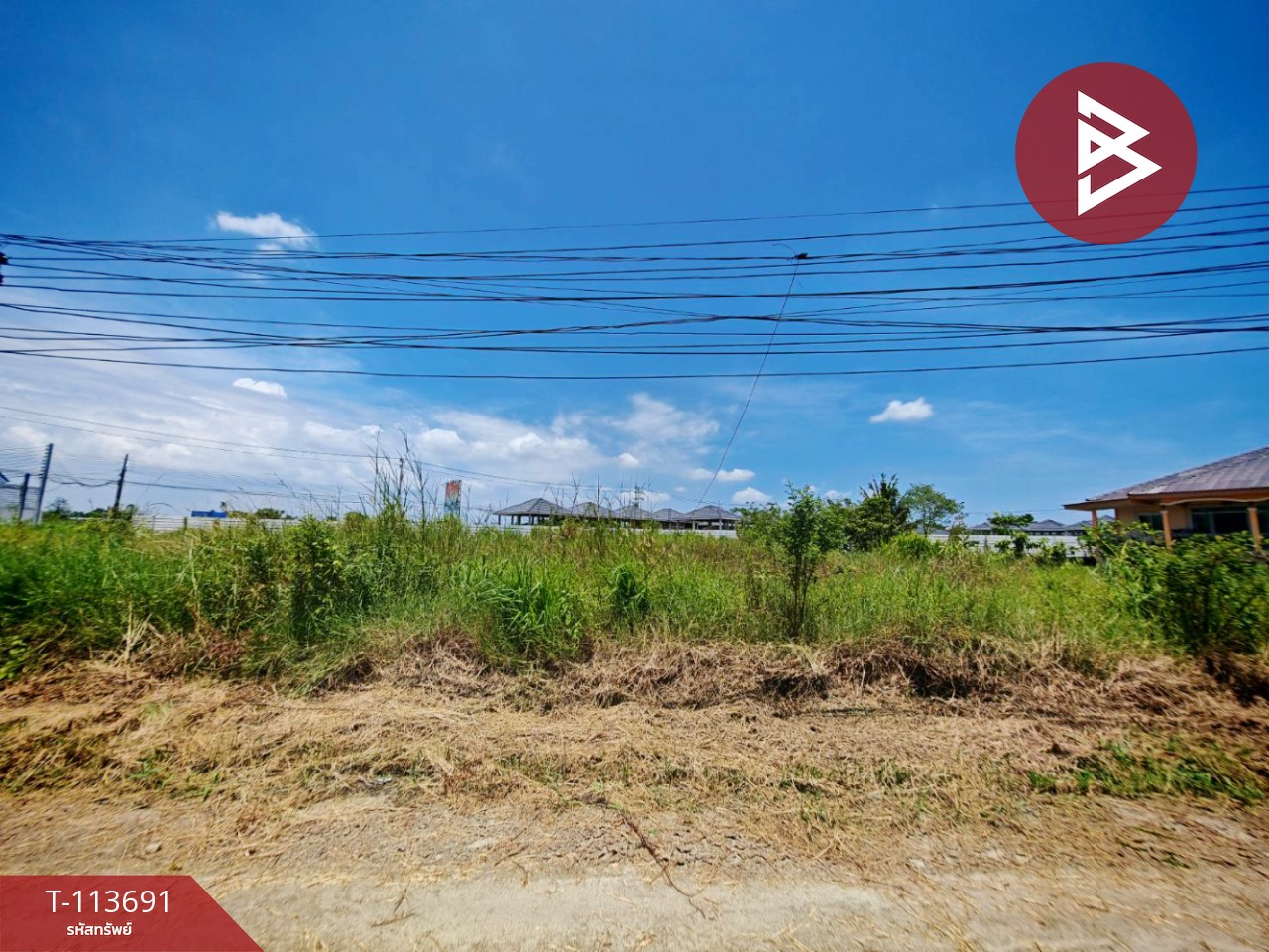 ขายที่ดิน เนื้อที่ 3 งาน 85 ตร.วา พานทอง ชลบุรี