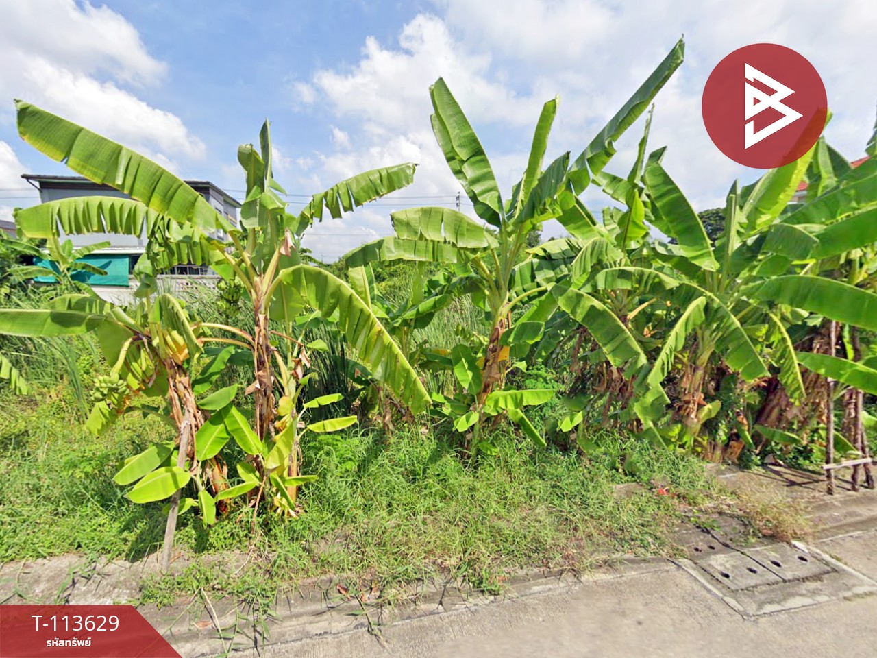 ขายที่ดิน เนื้อที่ 40 ตร.วา ลาดกระบัง กรุงเทพมหานคร