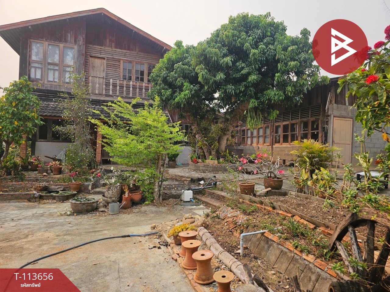ขายที่ดิน เนื้อที่ 3 งาน 21 ตร.วา ท่าสุด เชียงราย