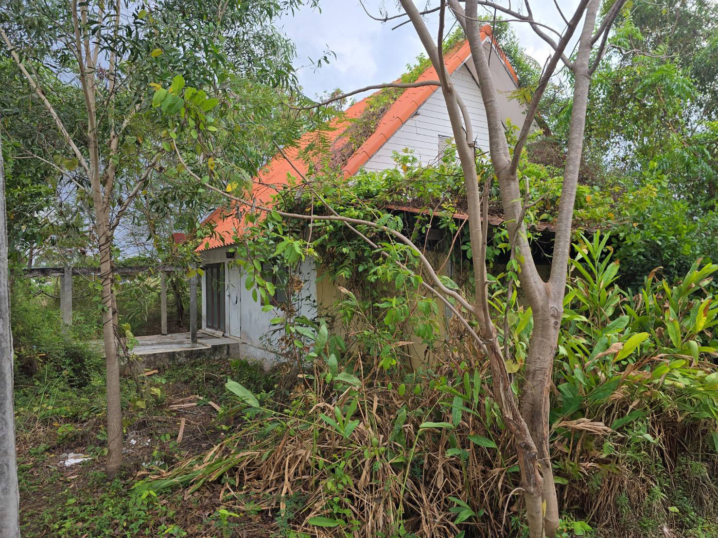 บ้านเดี่ยว : นอกโครงการชลบุรี