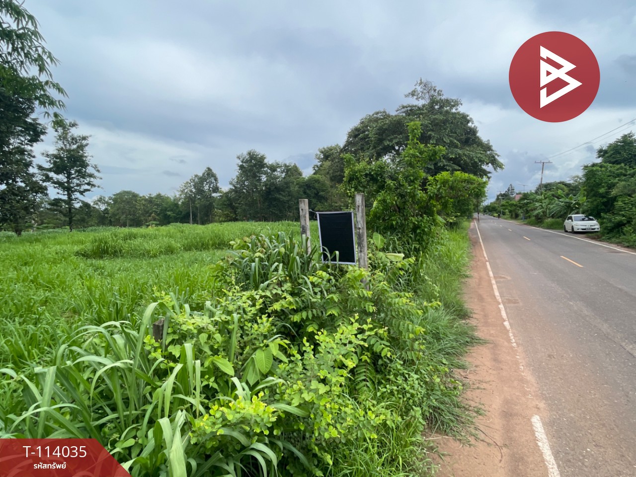 ขายที่ดิน เนื้อที่ 8 ไร่ นายม อำนาจเจริญ