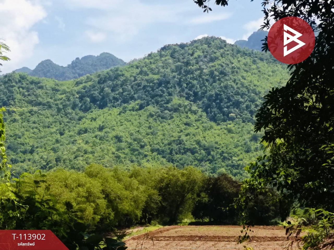 ขายที่ดิน เนื้อที่ 40 ไร่ 2 งาน 70 ตร.วา ไทรโยค กาญจนบุรี