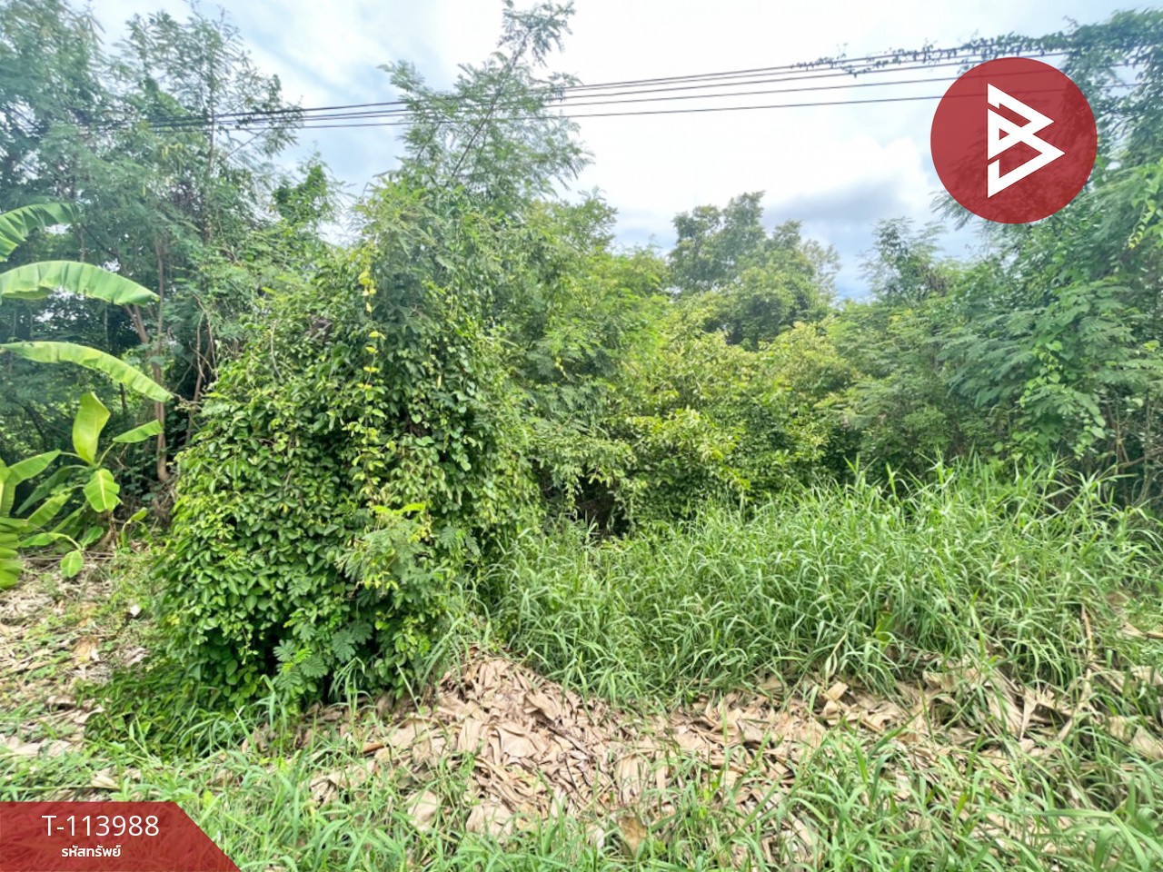 ขายที่ดิน เนื้อที่ 1 ไร่ 57.9 ตร.วา บางน้ำจืด สมุทรสาคร
