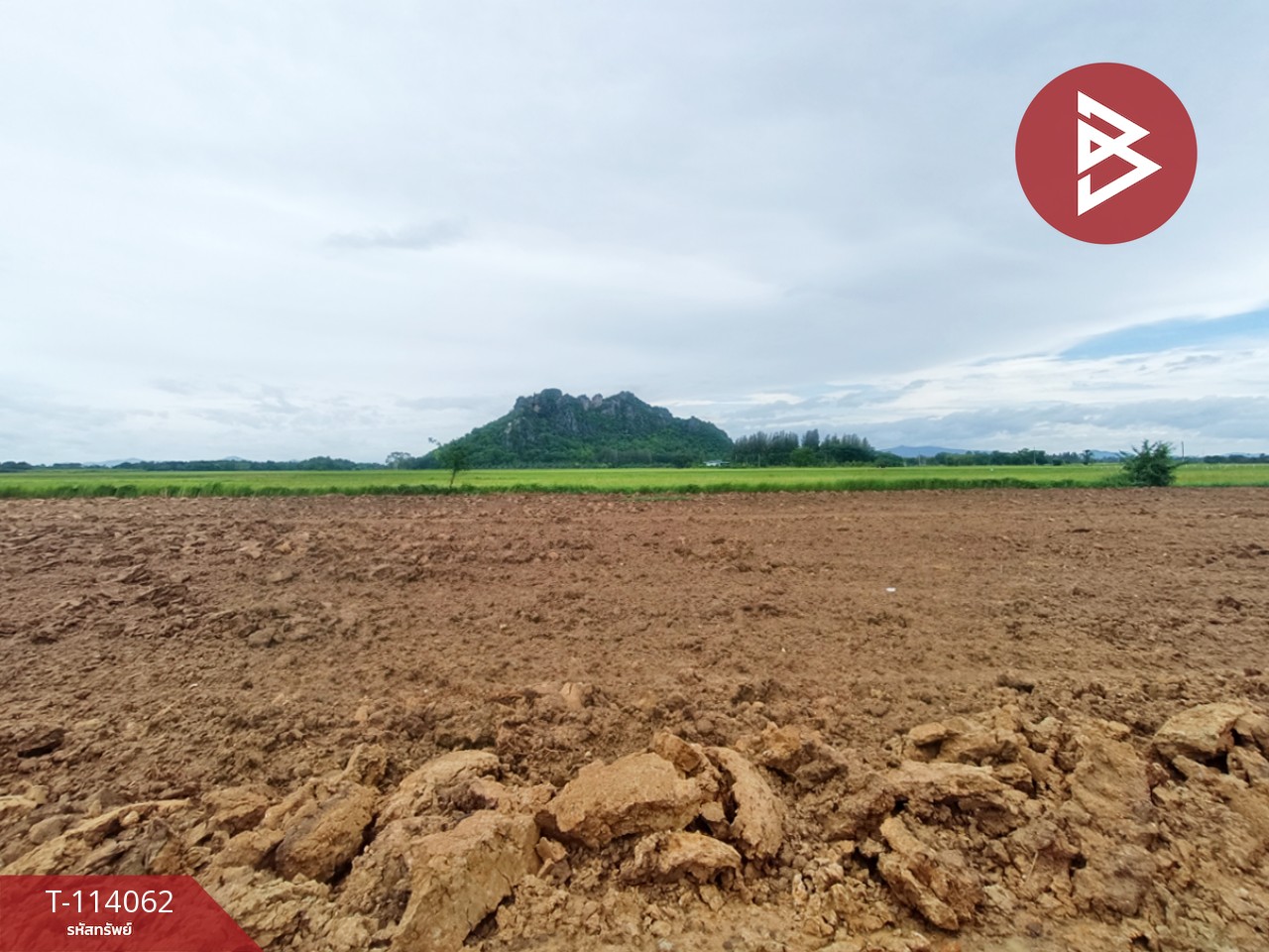 ขายที่ดิน เนื้อที่ 11 ไร่ 9 ตร.วา ท่ายาง เพชรบุรี