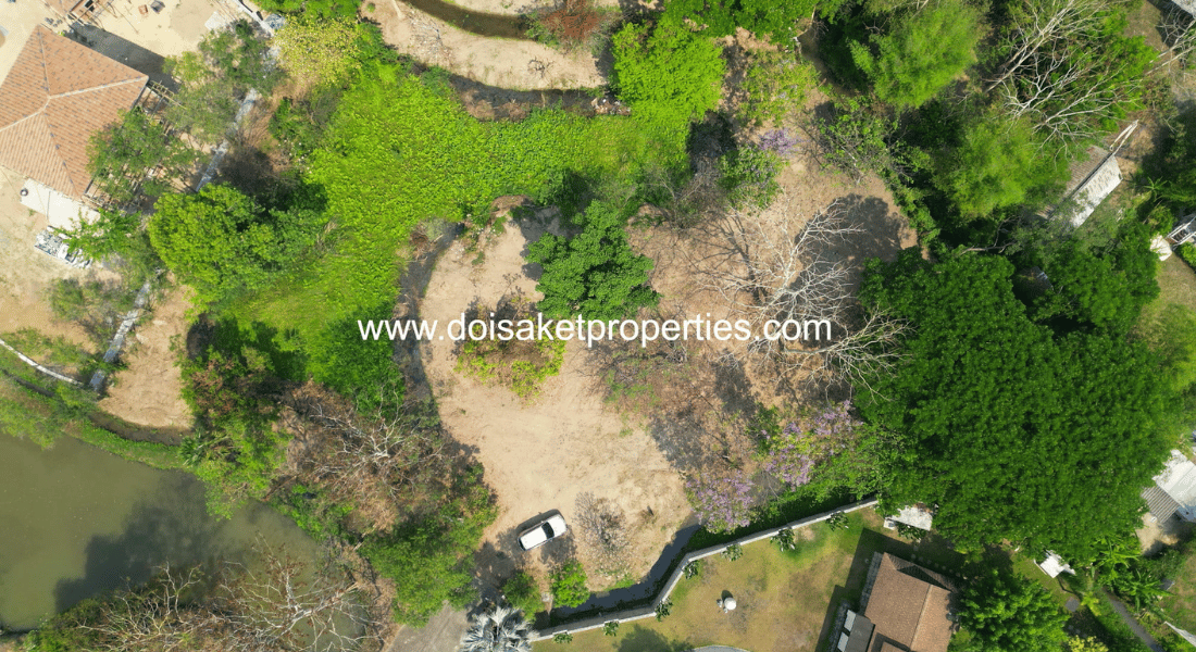Tranquil, Tree-Shaded Plot with Scenic Rice Field Views for Sale in Choeng Doi, Doi Saket, Chiang Mai