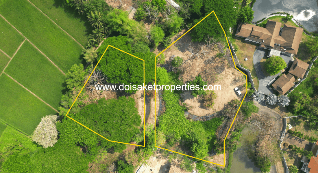 Tranquil, Tree-Shaded Plot with Scenic Rice Field Views for Sale in Choeng Doi, Doi Saket, Chiang Mai
