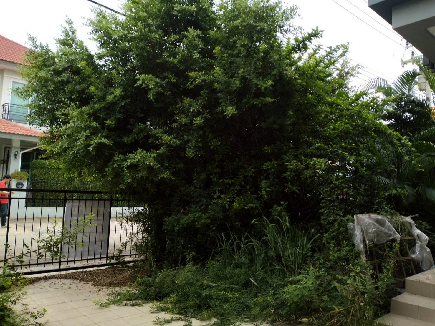 บ้านเดี่ยว : บ้านลภาวัน 21