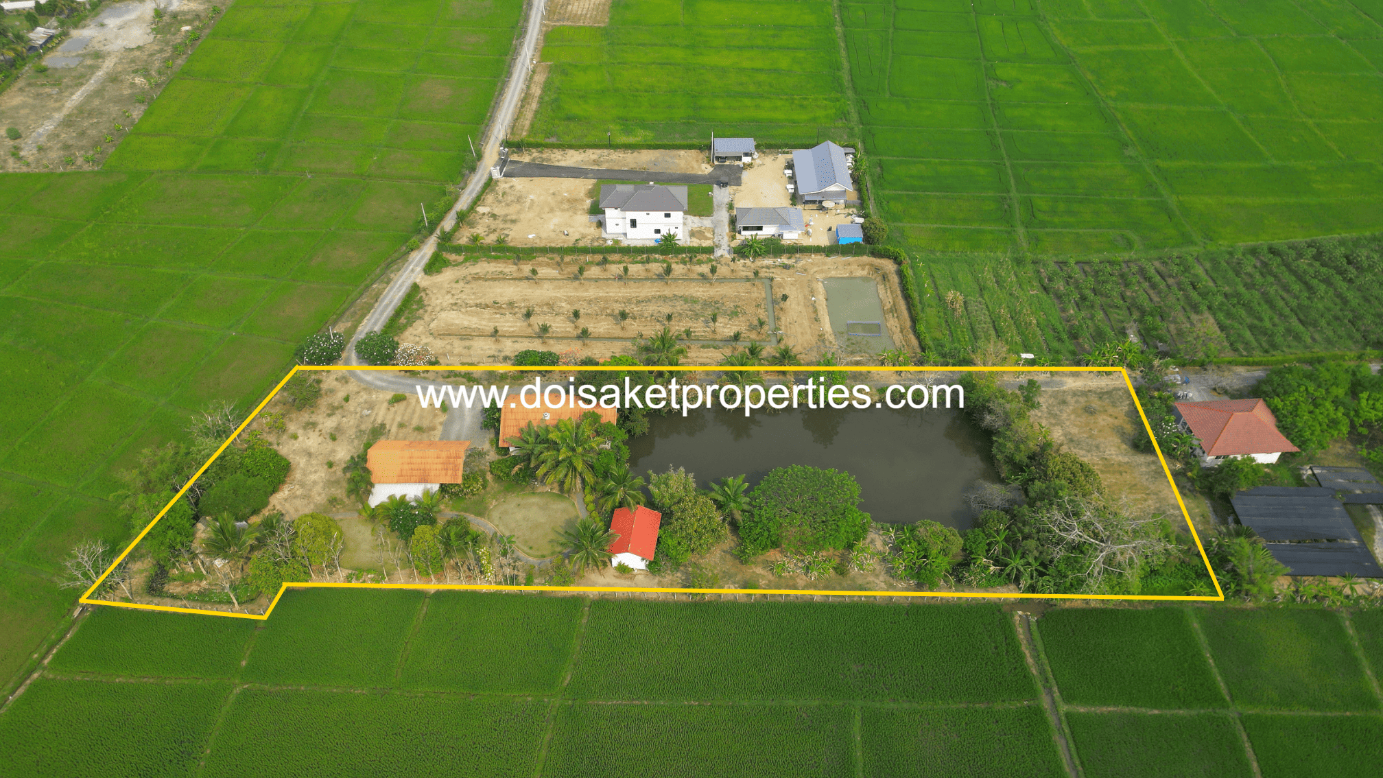 Peaceful 4+ Rai Plot of Land with Homes and Mountain Views for Sale in Pa Pong, Doi Saket