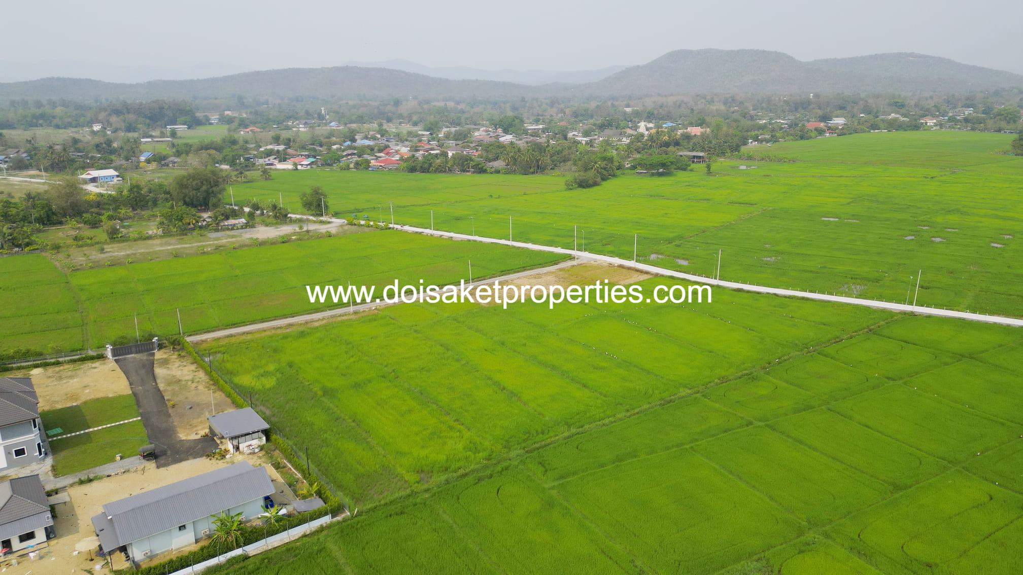 Scenic ~6 Rai Plot of Land with Expansive Rice Fields, Stunning Mountain Views, and a Peaceful Atmosphere for Sale in Pa Pong, Doi Saket, Chiang Mai