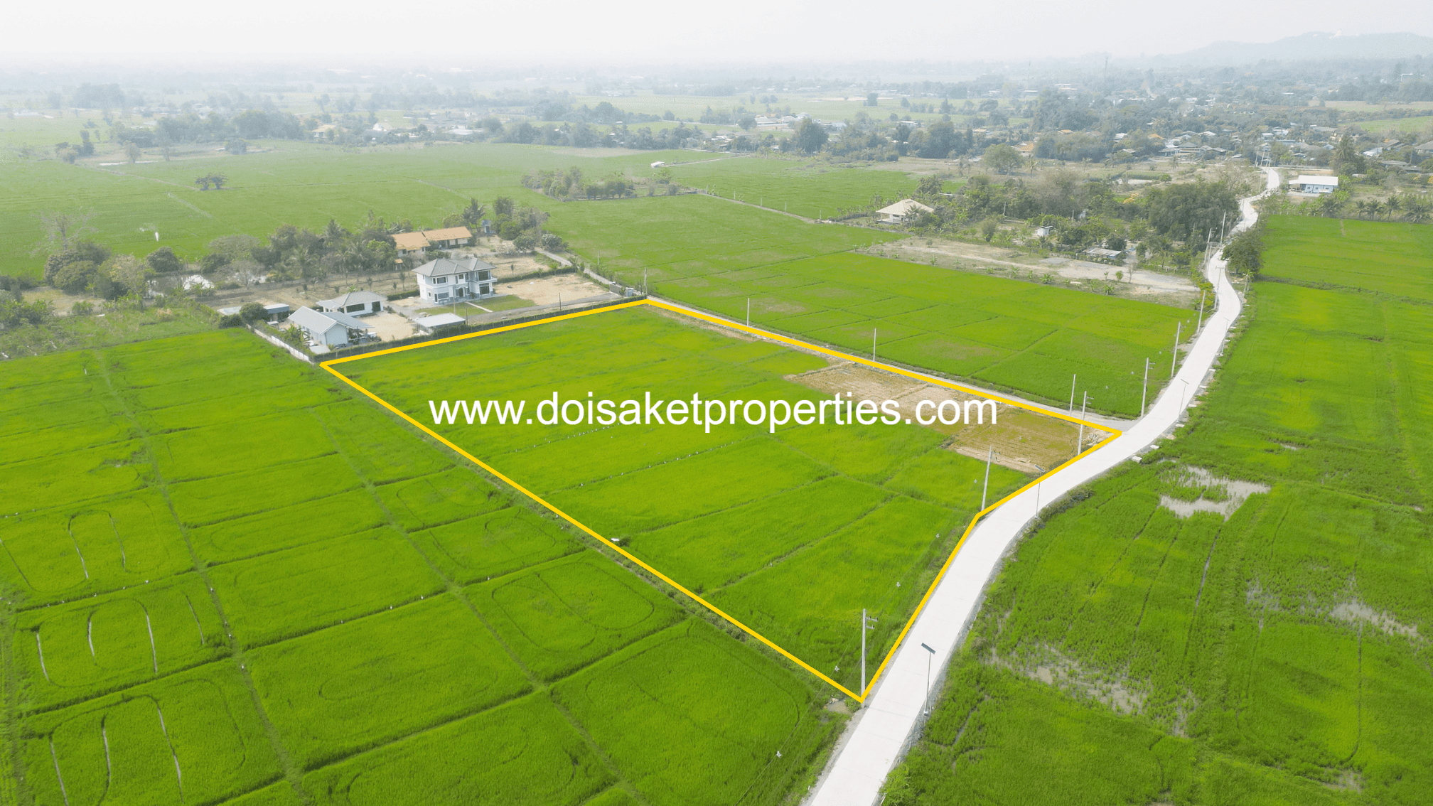 Scenic ~6 Rai Plot of Land with Expansive Rice Fields, Stunning Mountain Views, and a Peaceful Atmosphere for Sale in Pa Pong, Doi Saket, Chiang Mai