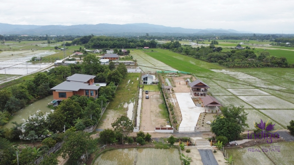 ขายบ้านท่ามกลางธรรมชาติ! ที่ดินกว้าง พร้อมสระน้ำขนาดใหญ่! แม่ริม เชียงใหม่