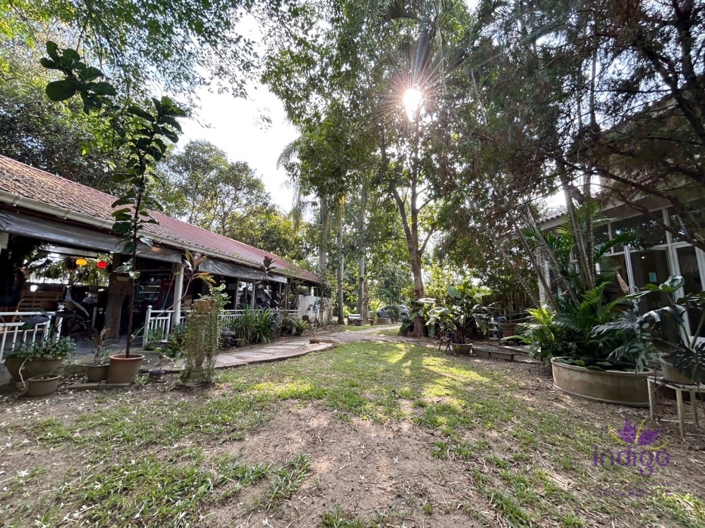 Land and Buildings on 4 Rai 39 sqw of land ready to do business, restaurant, cafe, or organic farm at Muang Kaew, Mae Rim, Chiang Mai
