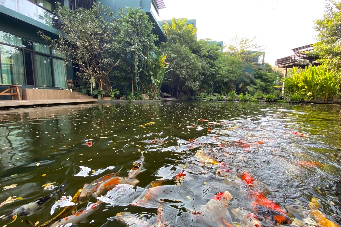 A luxurious villa for sale in Suthep, Muang Chiang Mai