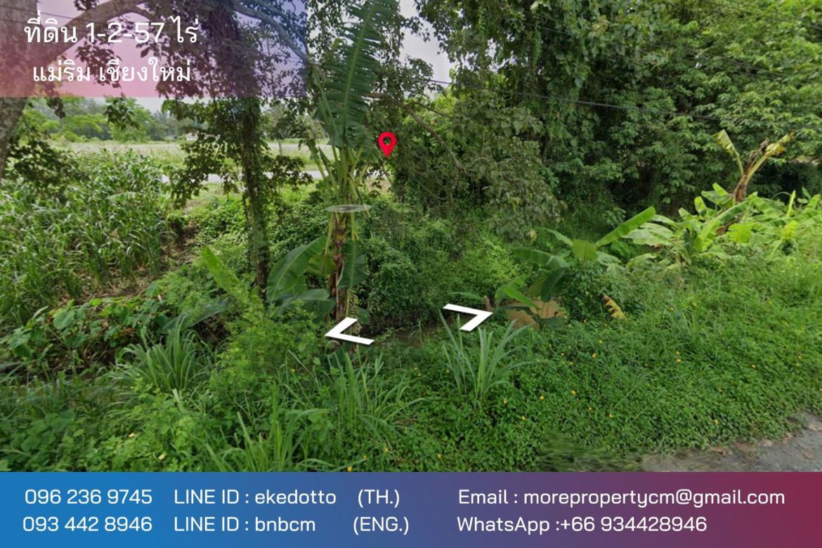 ทรัพย์สิน ID173LS ขายที่ดินแม่ริม 1-2-57 ไร่ ใกล้สนามกอล์ฟกรีนวัลเล่ย์