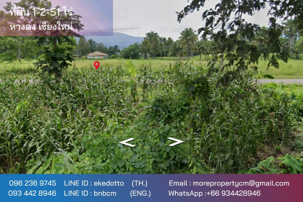 ทรัพย์สิน ID172LS ขายที่ดินแม่ริม 1-2 -51 ไร่ ใกล้สนามกอล์ฟกรีนวัลเล่ย์
