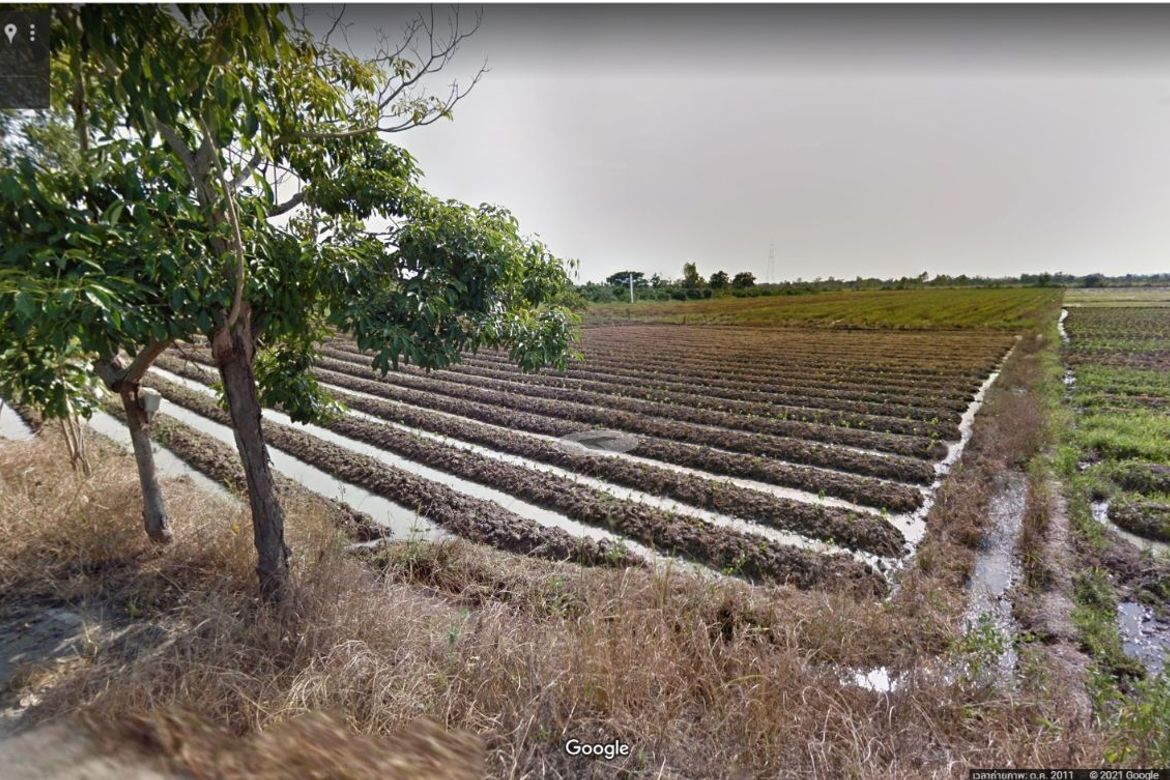 More-001LS ที่ดินแปลงสวย ขนาด 7 ไร่ 1 งาน 90 ตร.ว. ต.สันกำแพง