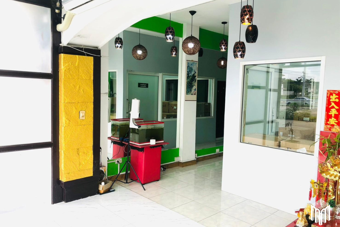 ทรัพย์สิน ID015BS บ้านเดี่ยว 12ห้องนอน 9ห้องน้ำ 54 ตร.ว. ใกล้เซ็นทรัลเฟสติวัล เชียงใหม่