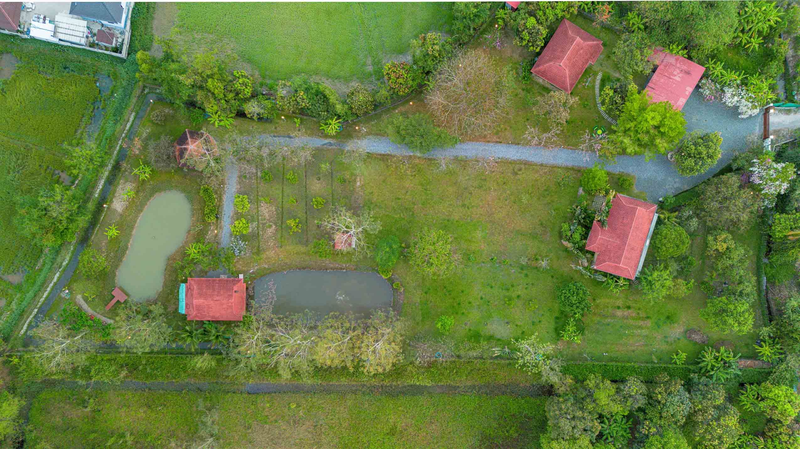 ขายบ้านริมทะเลสาบชนบท 5 ไร่ในดอยสะเก็ด