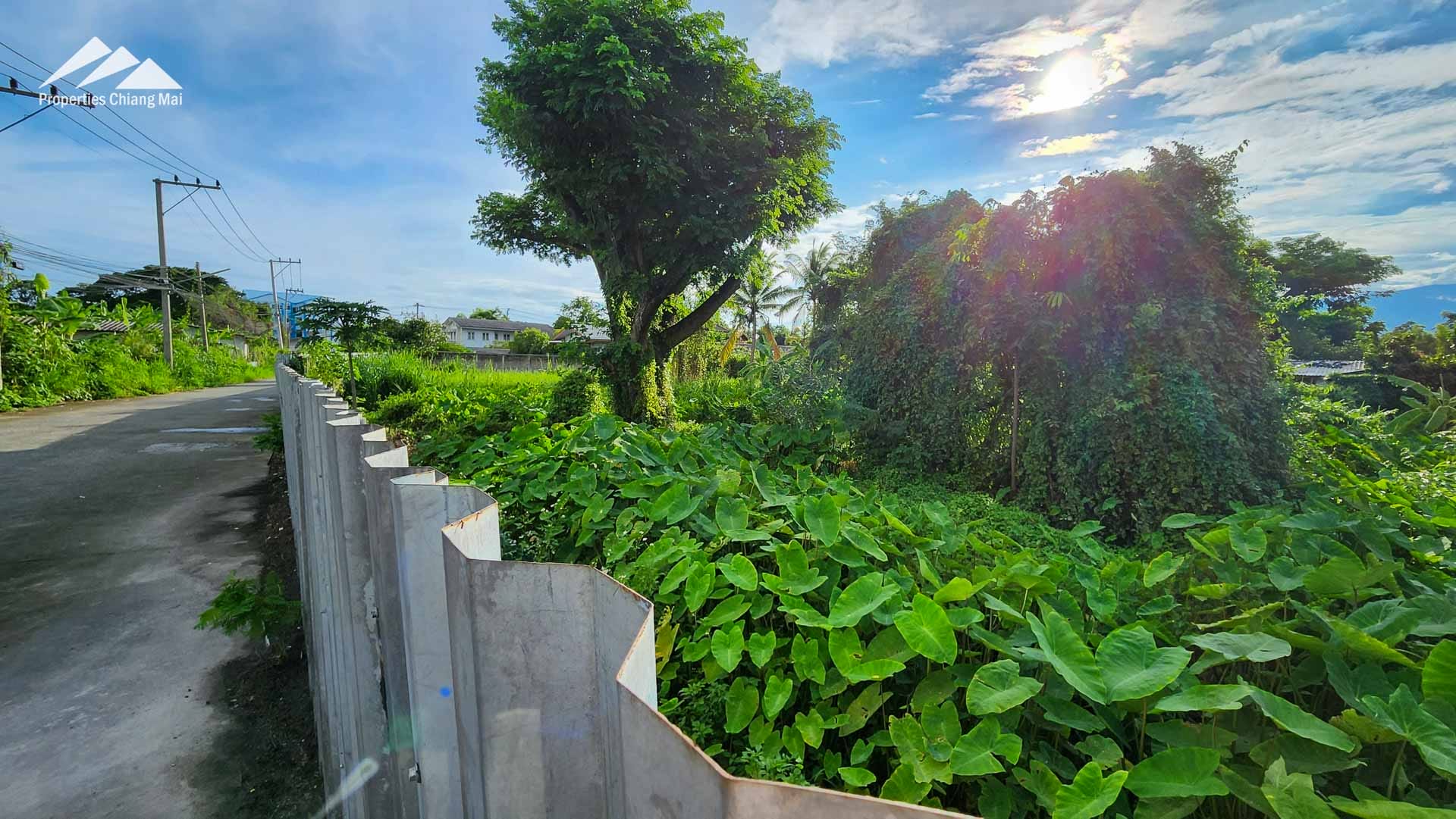 ที่ดิน 4 ไร่ + ที่ดินติดถนนซุปเปอร์ไฮเวย์ - ใกล้แม่น้ำปิงและเซ็นทรัลเฟสติวัล