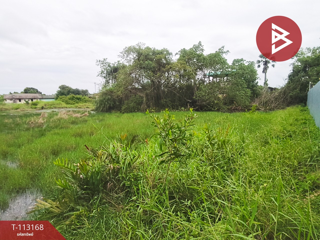 ขายที่ดิน เนื้อที่ 2 งาน 65 ตร.วา บางกะจะ จันทบุรี