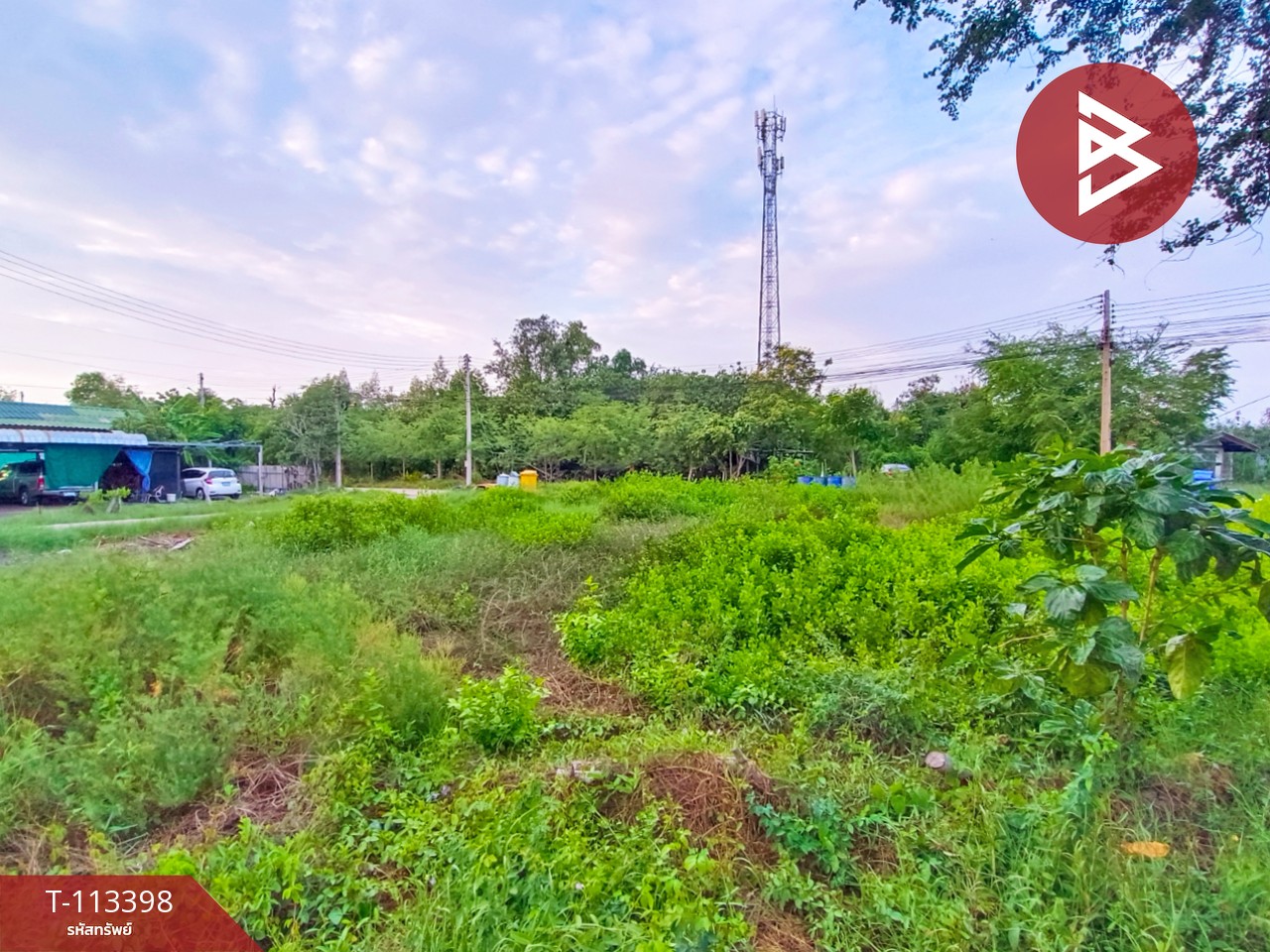 ขายที่ดิน เนื้อที่ 1 งาน กาหลง สมุทรสาคร