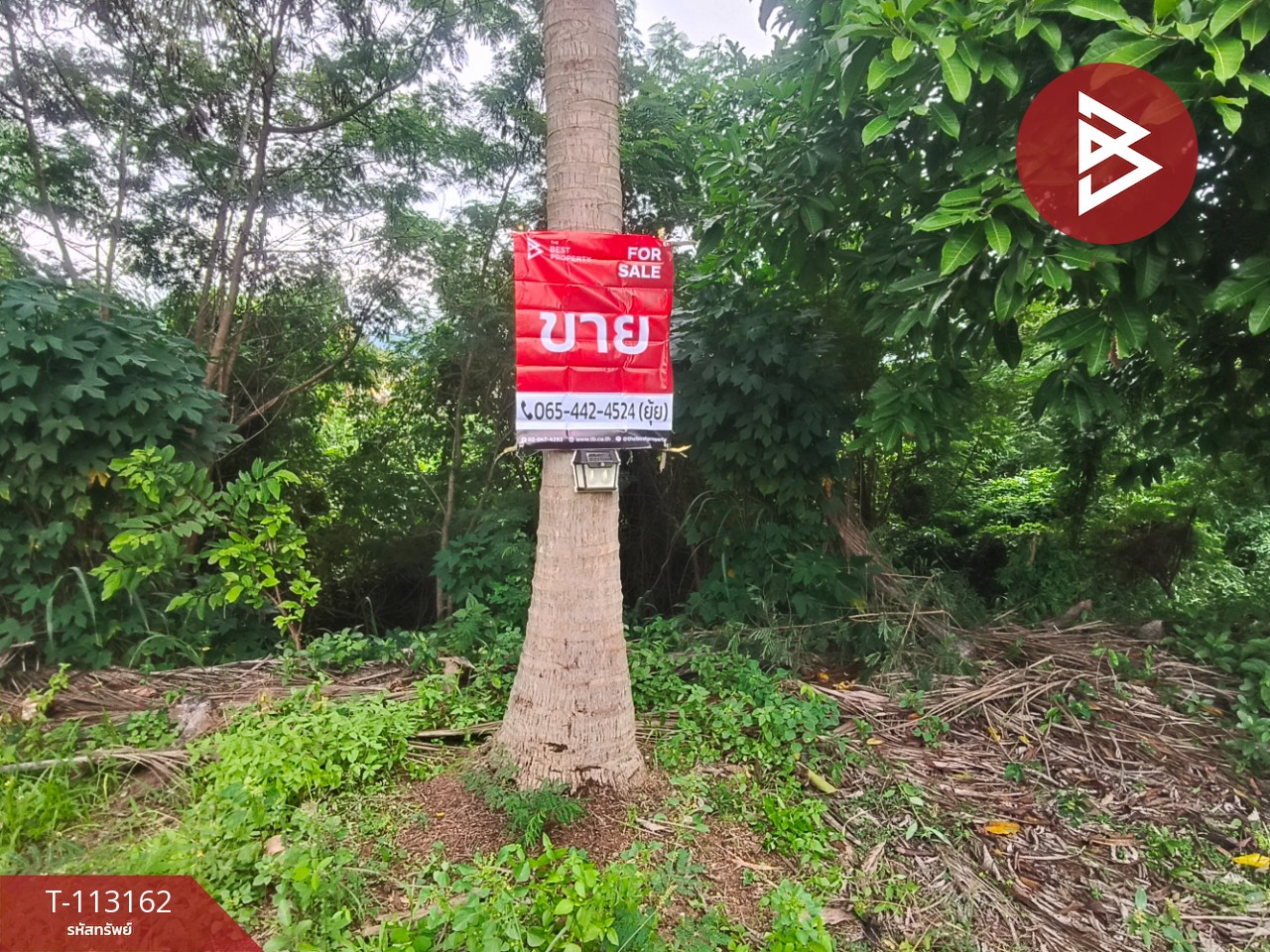 ขายที่ดิน เนื้อที่ 3 งาน 82 ตร.วา สอยดาว จันทบุรี