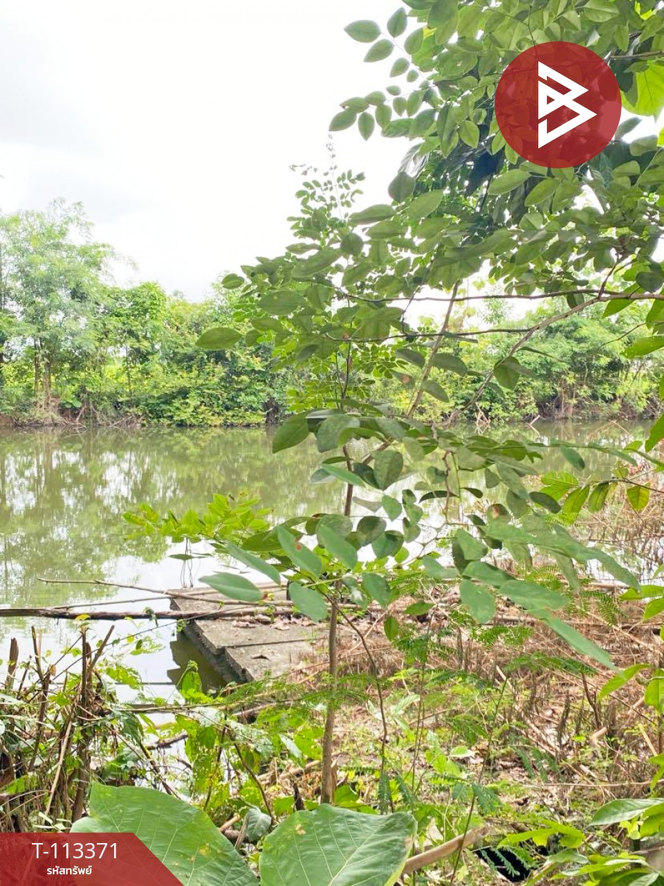 ขายทีดิน เนื้อที่ 13 ไร่ 1 งาน 44 ตร.วา พนมทวน กาญจนบุรี