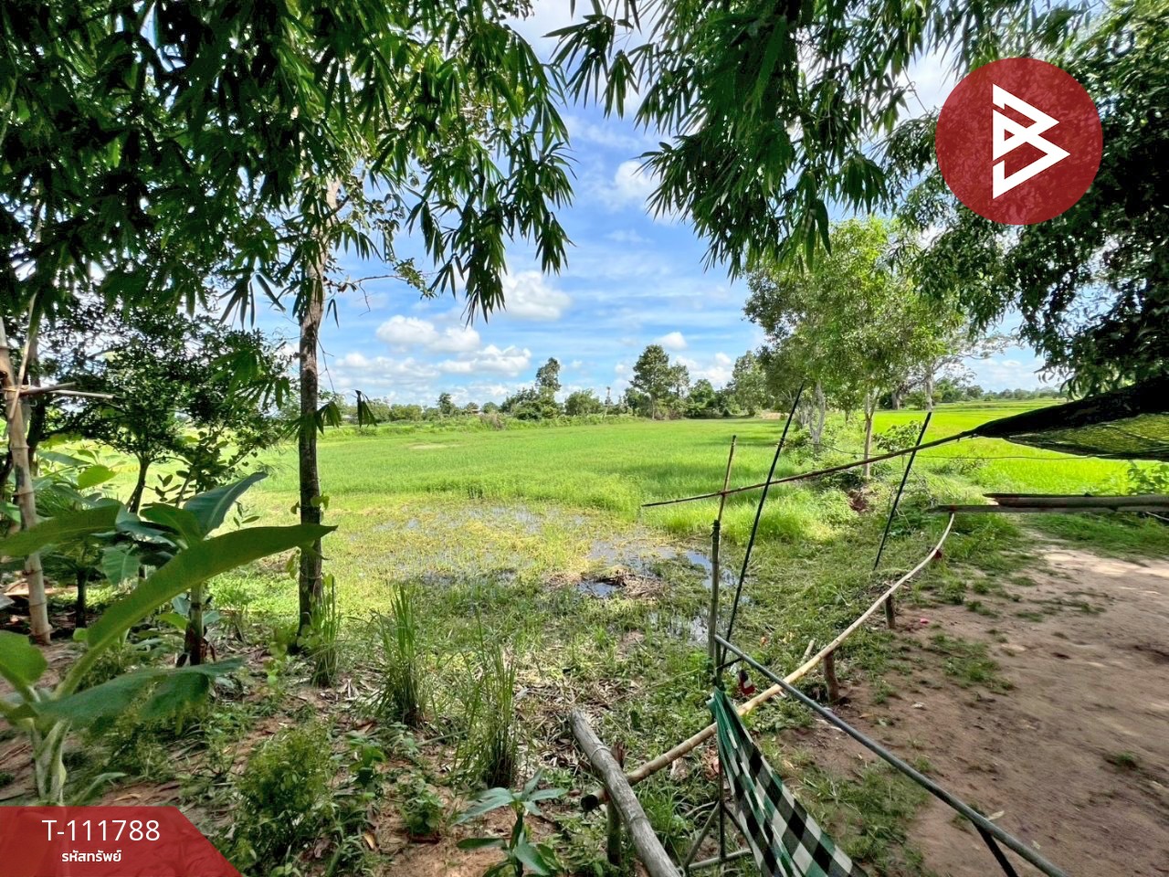 ขายที่ดิน เนื้อที่ 9 ไร่ 44 ตร.วา ที่ดินโพธิ์ศรีสุวรรณ ศรีสะเกษ