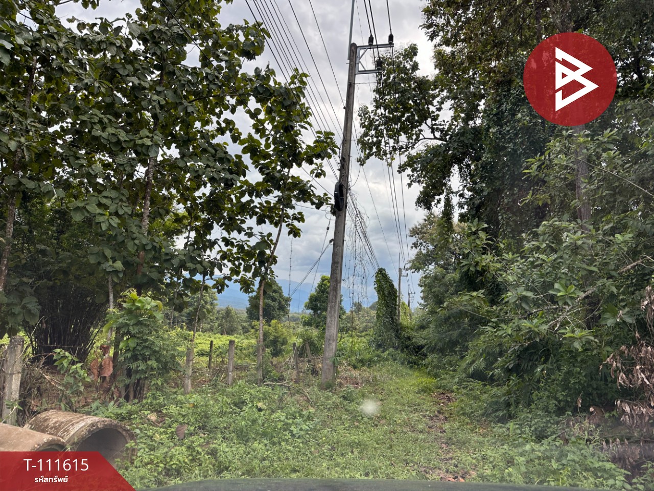 ขายที่ดิน เนื้อที่ 6 ไร่ 67.4 ตร.วา ปัว น่าน