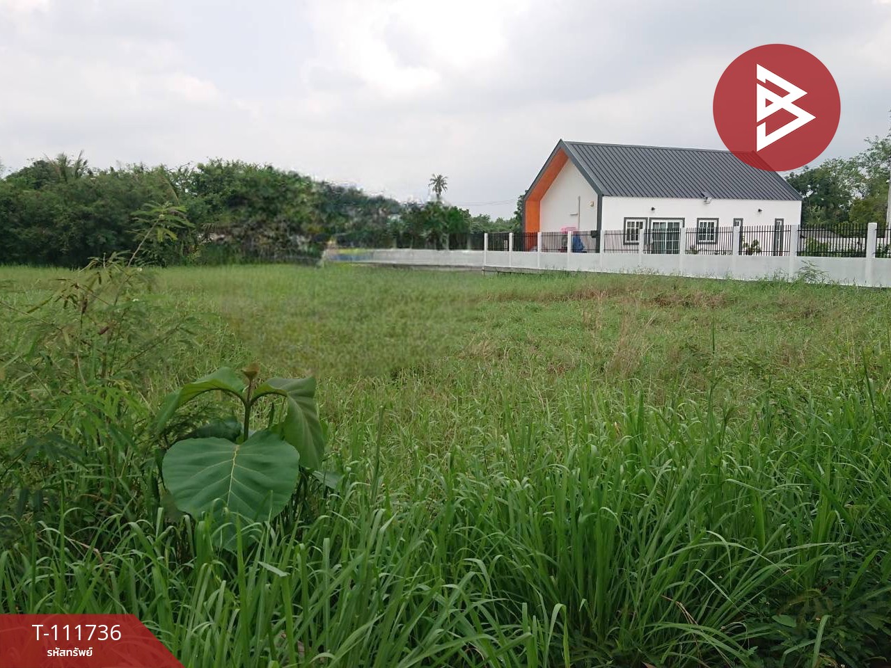 ขายที่ดิน เนื้อที่ 2 งาน 18.4 ตร.วา บ้านบึง ชลบุรี