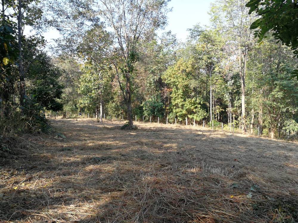 Land for sale 1 Rai 3 Ngan 80 Sqw at Mae Pong Doisaket Chiangmai