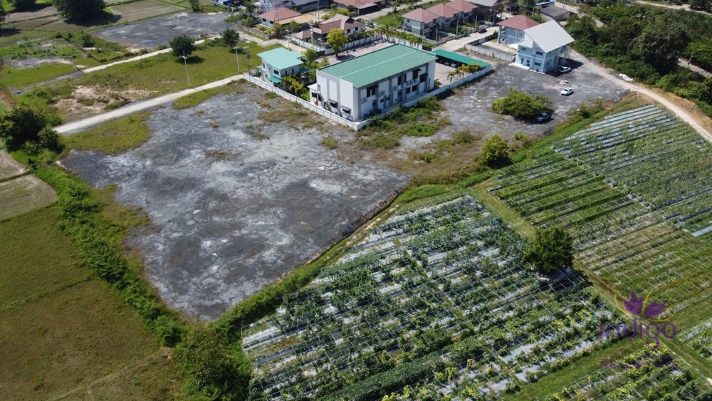 Land for sale in Hang Dong 4 plot near Grace International School, Chiang Mai