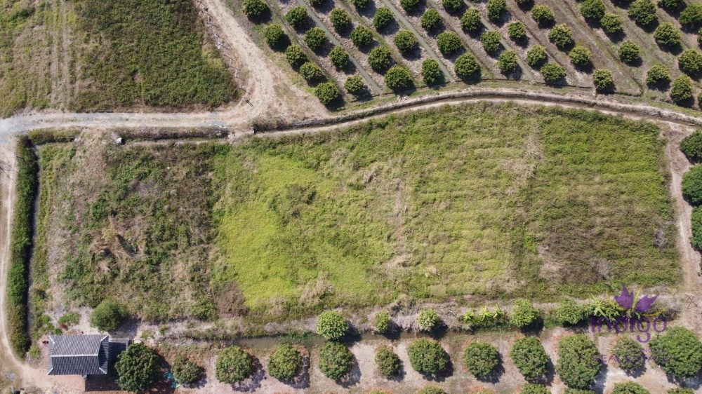 Land for sale 1 Rai 2 Ngan 81 Sqw , Near popular flower farm tourist attractions, Muang Kaew, Mae Rim,Chiang Mai