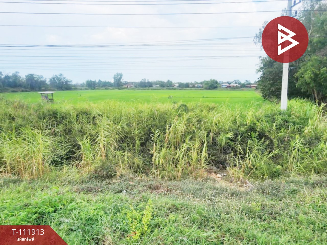 ขายที่ดิน เนื้อที่ 10 ไร่ บางระกำ พิษณุโลก