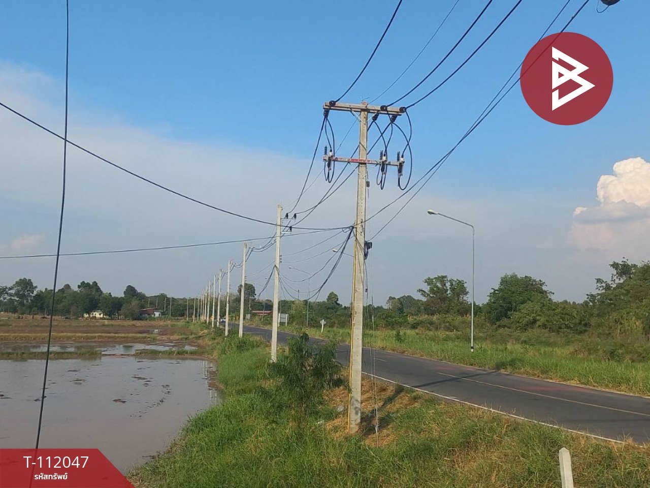 ขายที่ดิน เนื้อที่ 4 ไร่ ฆะมัง พิจิตร