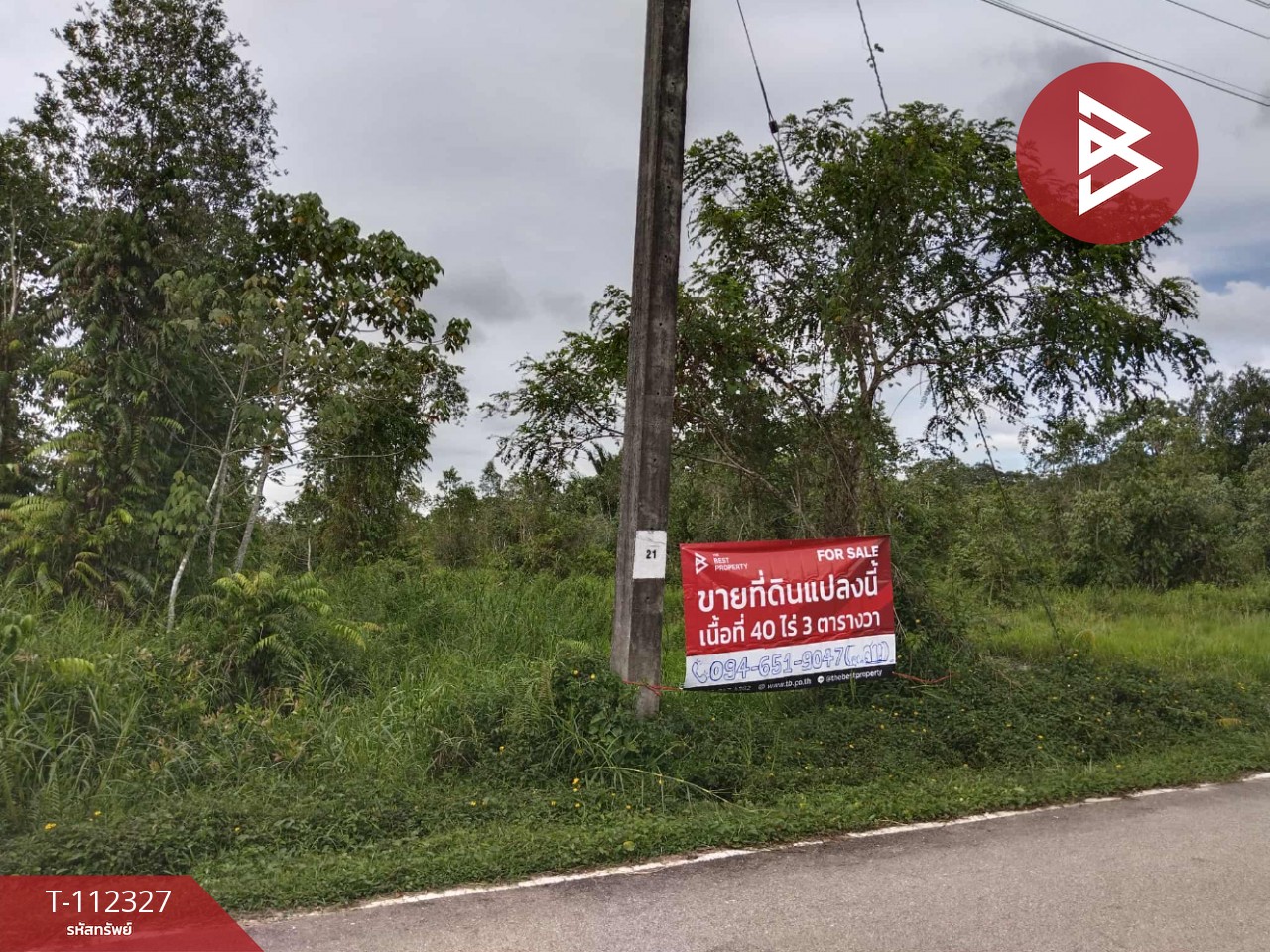 ขายที่ดิน เนื้อที่ 40 ไร่ 3 ตร.วา สุไหงโก-ลก นราธิวาส