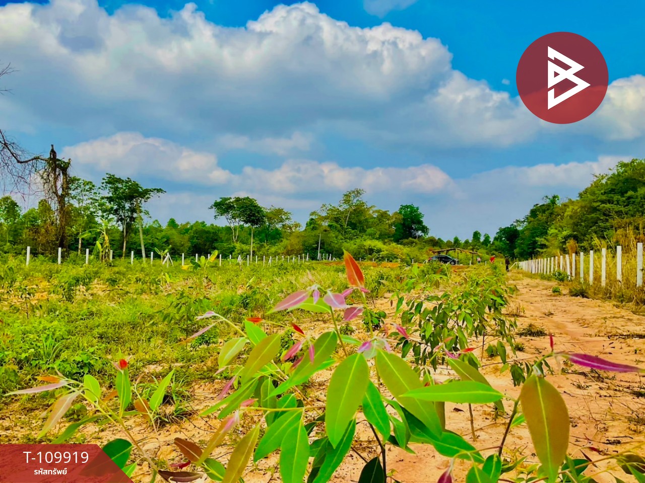 ขายที่ดิน เนื้อที่ 3 ไร่ กบินทร์บุรี ปราจีนบุรี