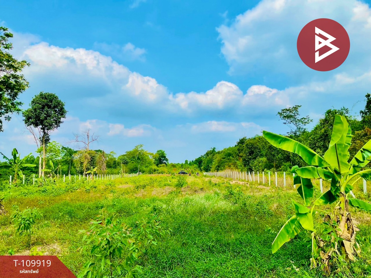 ขายที่ดิน เนื้อที่ 3 ไร่ กบินทร์บุรี ปราจีนบุรี