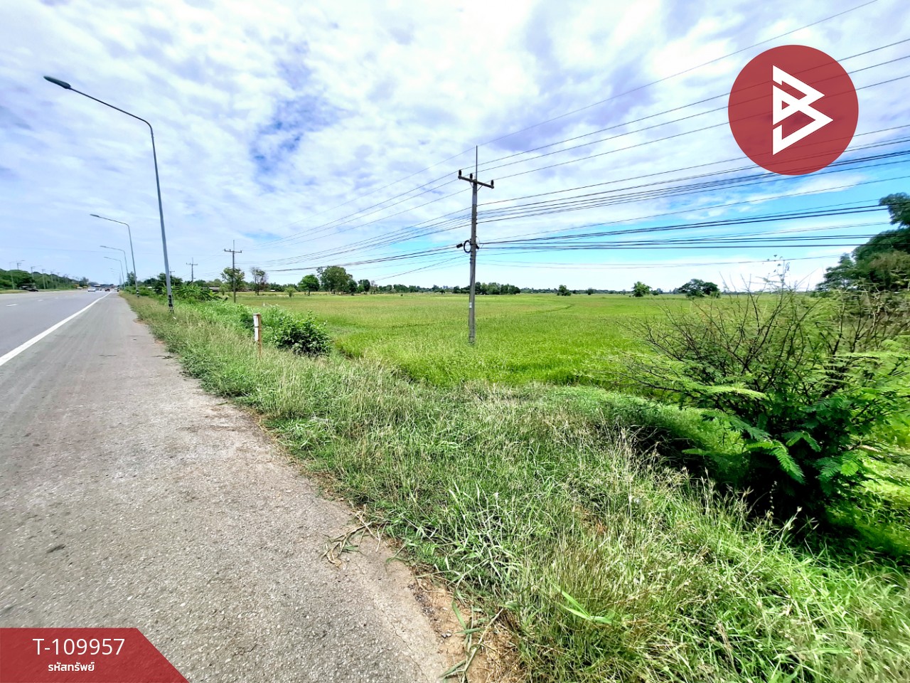 ขายที่ดิน เนื้อที่ 5 ไร่ 2 งาน 78 ตร.วา จังหาร ร้อยเอ็ด