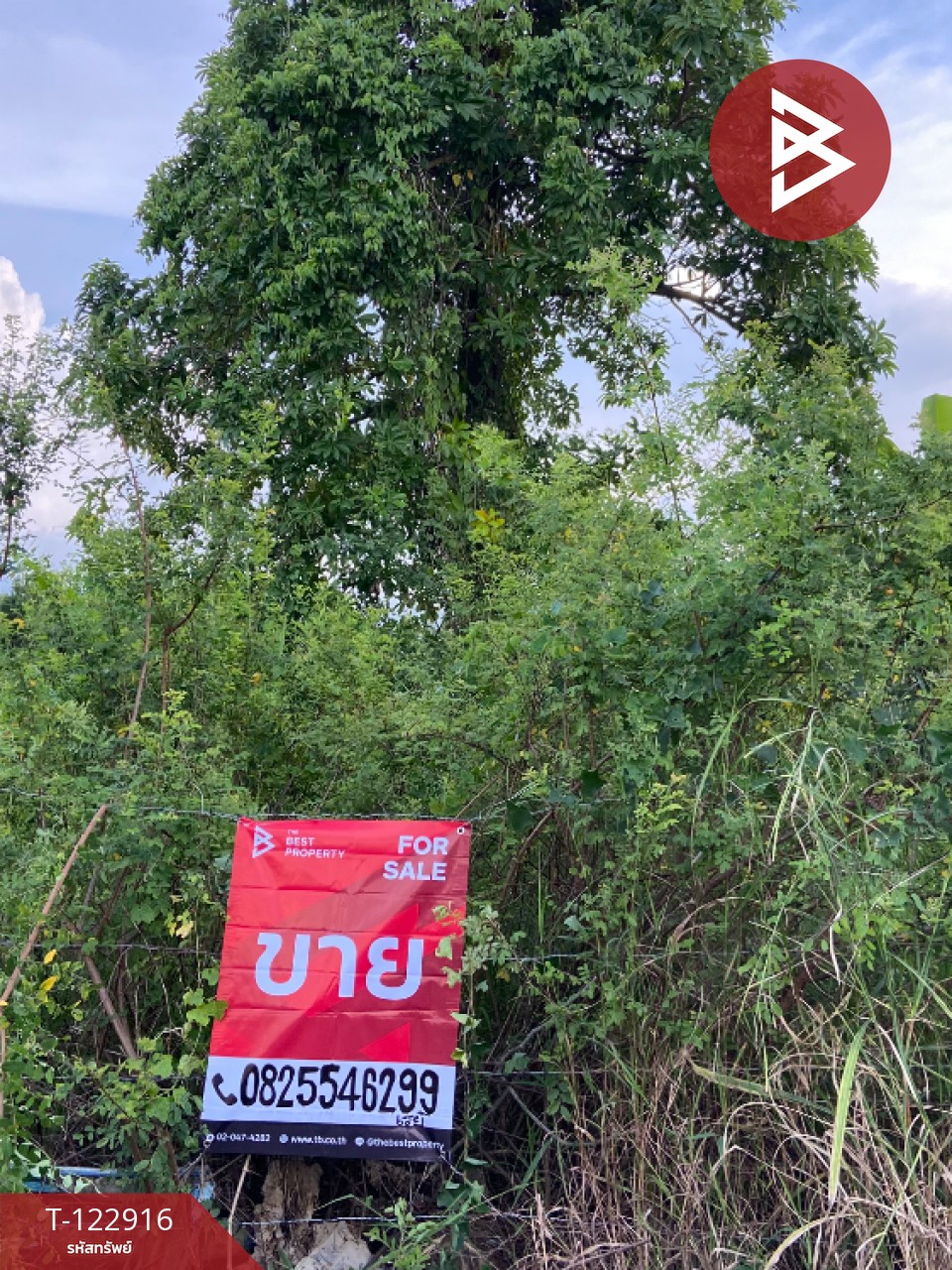 ขายที่เปล่าในหมู่บ้านวังทรัพย์สิน เนื้อที่ 62.9 ตารางวา วังน้อย พระนครศรีอยุธยา