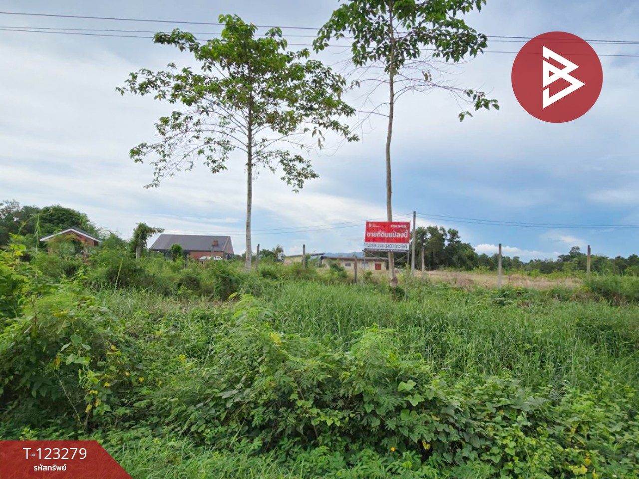 ขายที่ดิน เนื้อที่ 1 งาน 65.8 ตร.วา ใกล้ตลาดสดท่าใหม่ จันทบุรี