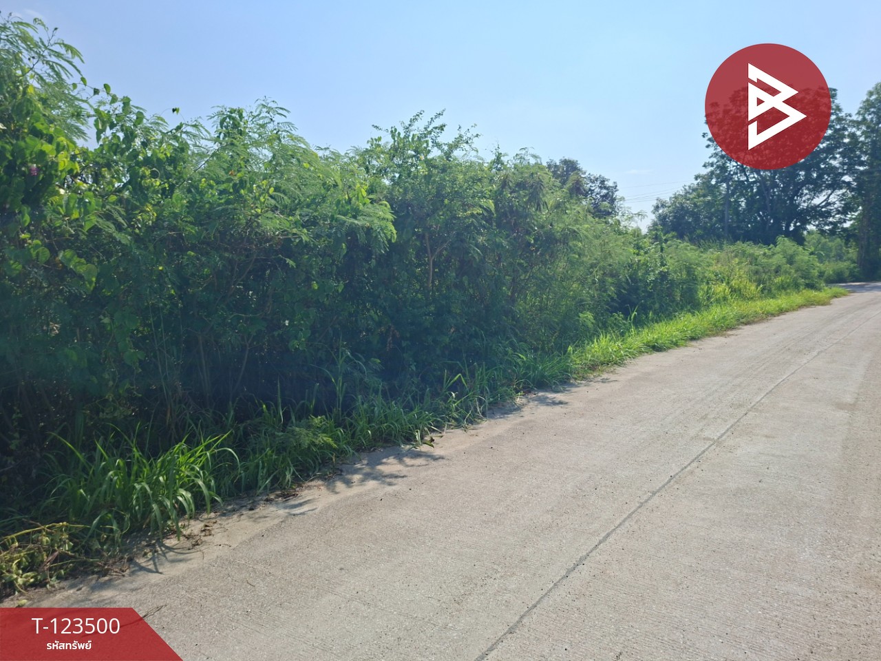 ขายที่ดิน เนื้อที่ 1 งาน 53 ตร.วา พานทอง ชลบุรี