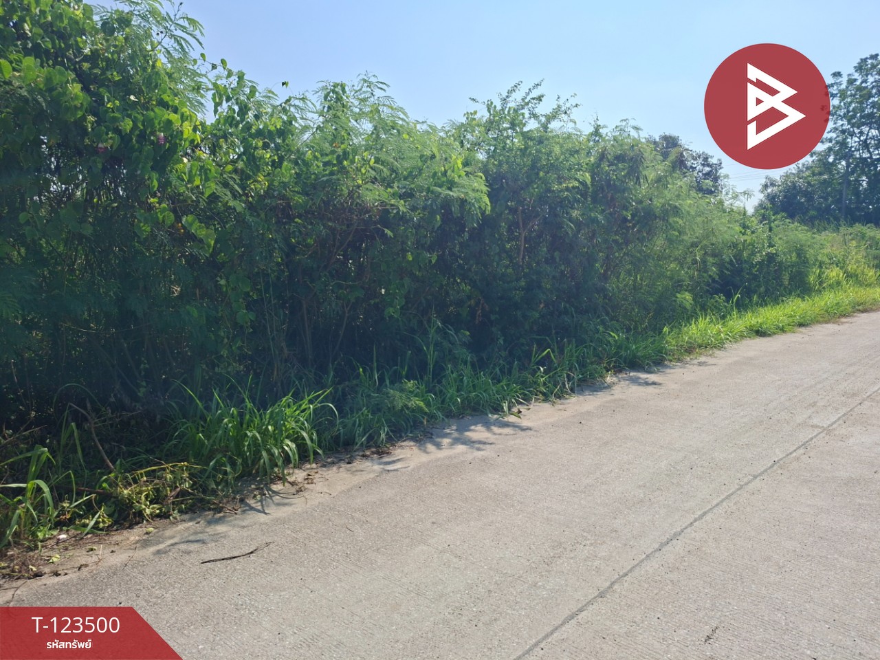 ขายที่ดิน เนื้อที่ 1 งาน 53 ตร.วา พานทอง ชลบุรี