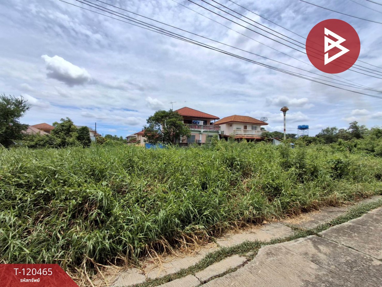 ขายที่ดิน เนื้อที่ 1 งาน 19.5 ตร.วา ลาดบัวหลวง พระนครศรีอยุธยา