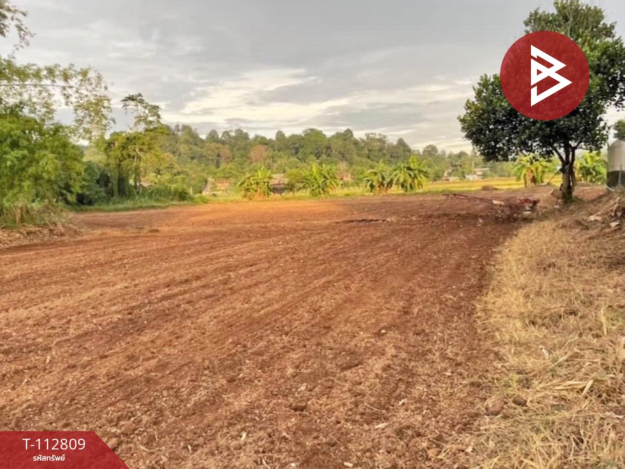 ขายที่ดิน เนื้อที่ 2-1-71 ไร่ ติดสายเอเชียเลข 11 บ้านแม่เฉย-ด่านนาขาม อุตรดิตถ์