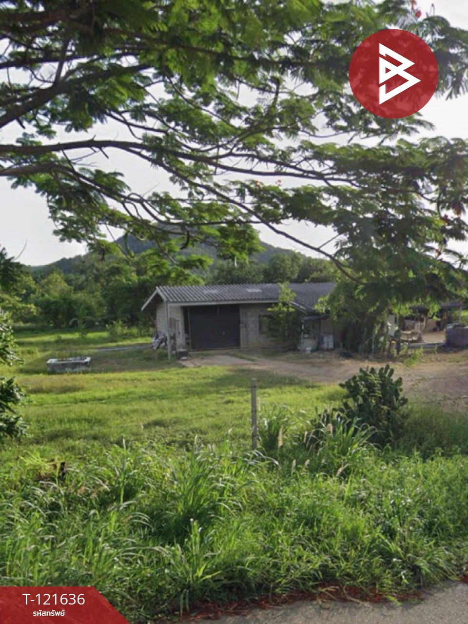 ขายที่ดิน เนื้อที่ 3 ไร่ 3 งาน 86 ตร.วา แก่งกระจาน เพชรบุรี